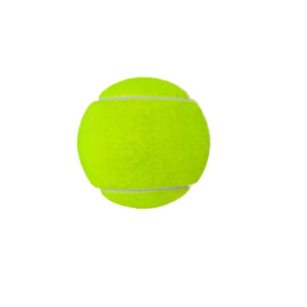 Vibrant Rubber Fetch Training Ball Thumbnail